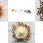 Plant-based proteins: The entire value chain under one roof at GoodMills Innovation