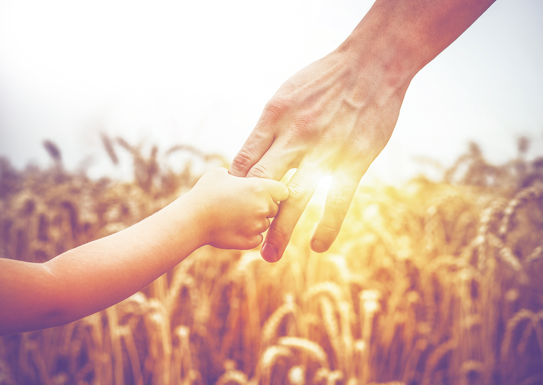 Hände von Kind und Vater auf einem Weizenfeld
