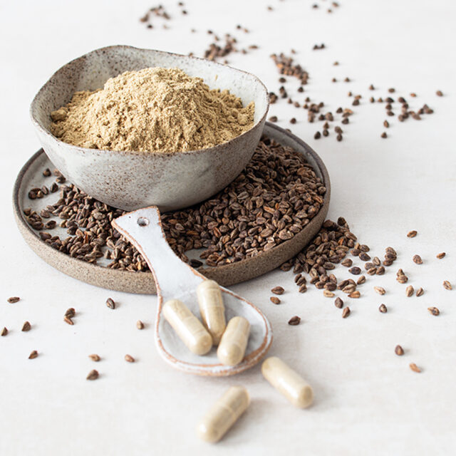 Tatarischer Buchweizen in einer Schüssel und RutinX Pulver in einer Schüssel, sowie in Kapseln