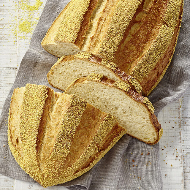 Maiskeimbrot mit Slow Milling Goldkruste