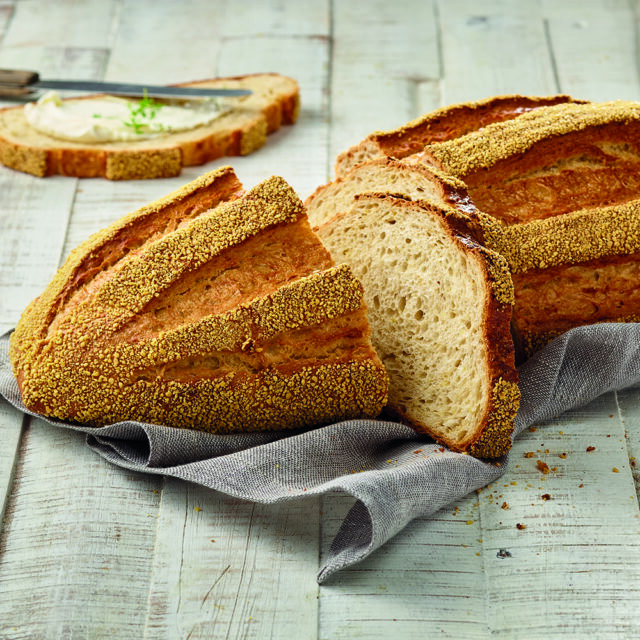 Maiskeimbrot mit Slow Milling Goldkruste