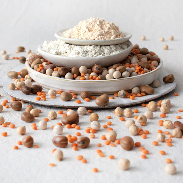 Drei gestapelte Teller mit Hülsenfruchtmehl, getrockneten Bohnen und Linsen; weitere Hülsenfrüchte liegen verstreut auf dem Untergrund.