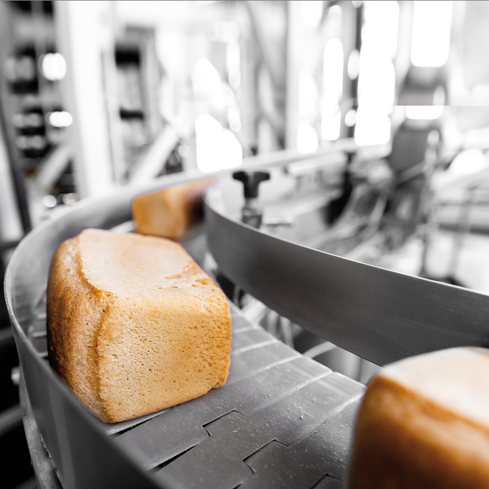 Frisch gebackenes Brot aus einer automatisierten Produktionslinie, industrielle Herstellung.